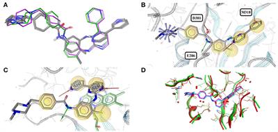 How Diverse Are the Protein-Bound Conformations of Small-Molecule Drugs and Cofactors?